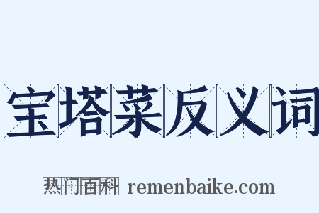 宝塔菜反义词是什么意思的图片